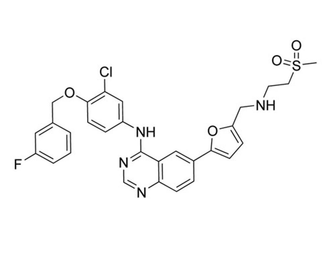 Lapatinib