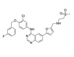 Lapatinib