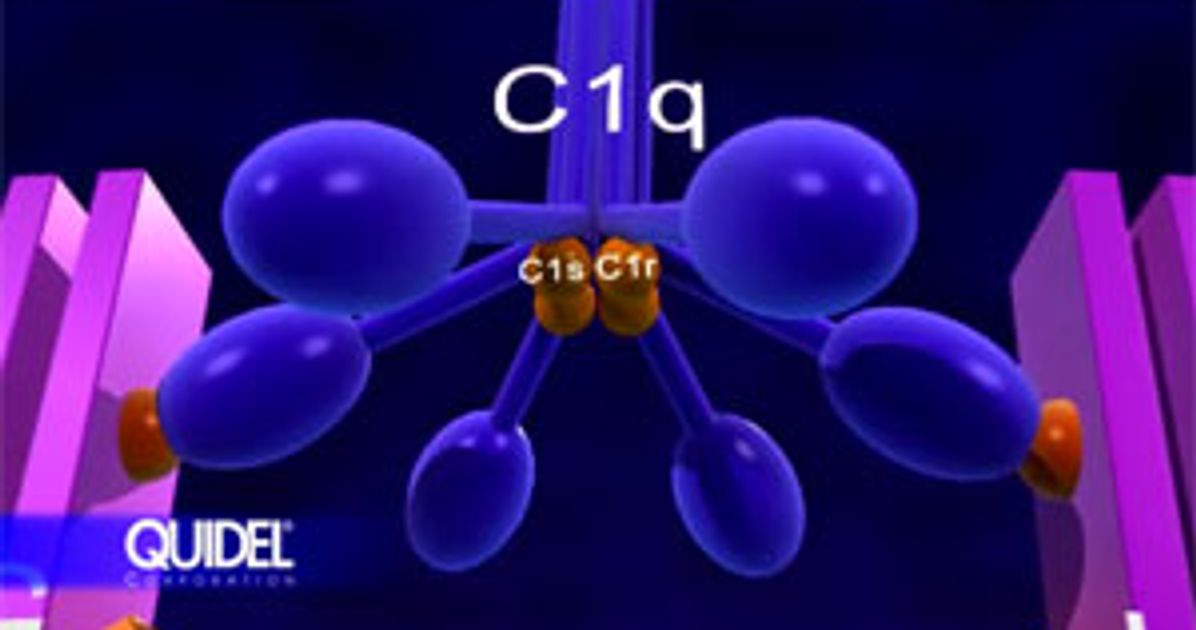 Overview of Complement Activation and Biological Functions from Quidel ...