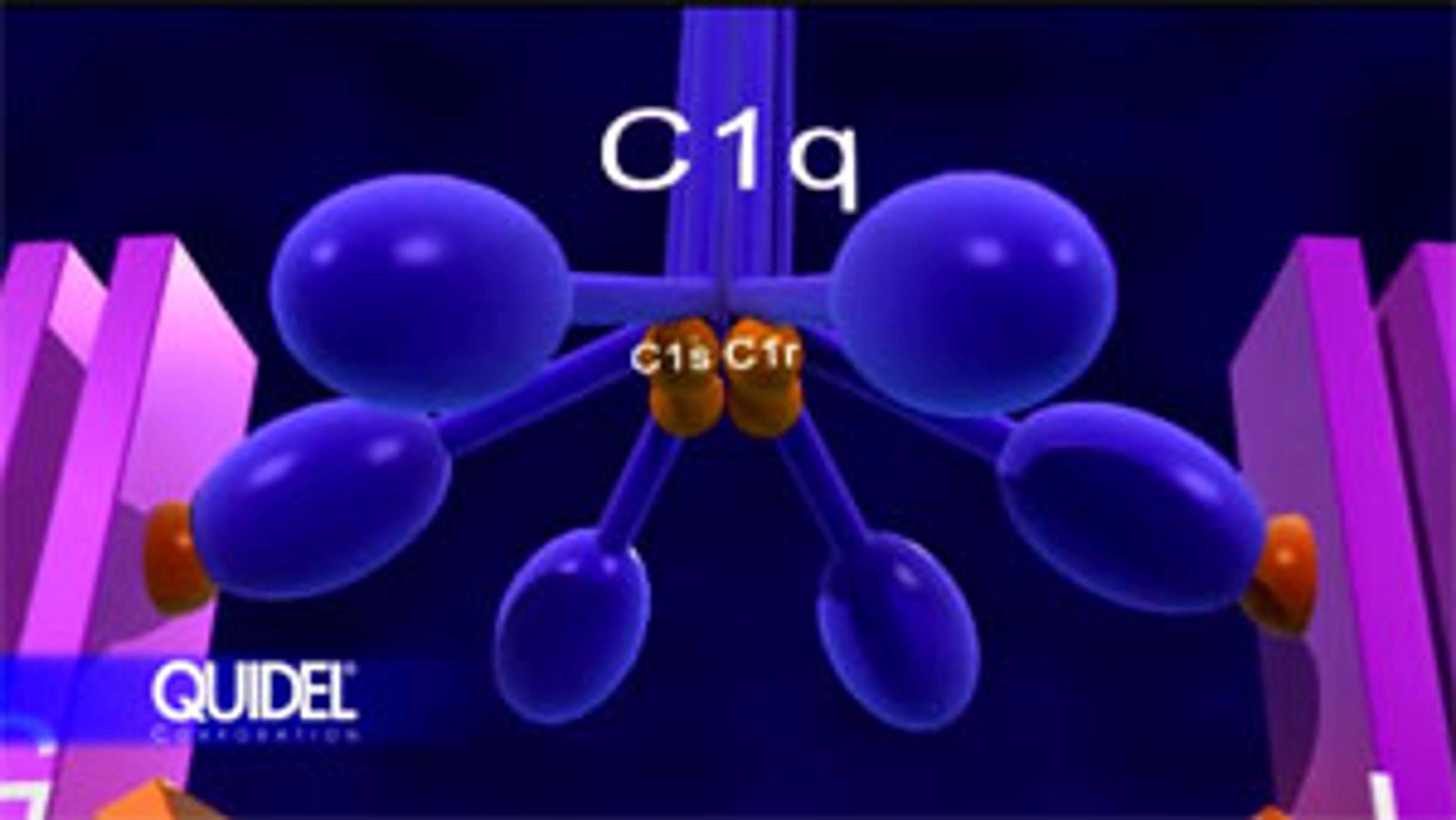 Overview of Complement Activation and Biological Functions from Quidel Corporation Overview of Complement Activation and Biological Functions from Quidel Corporation