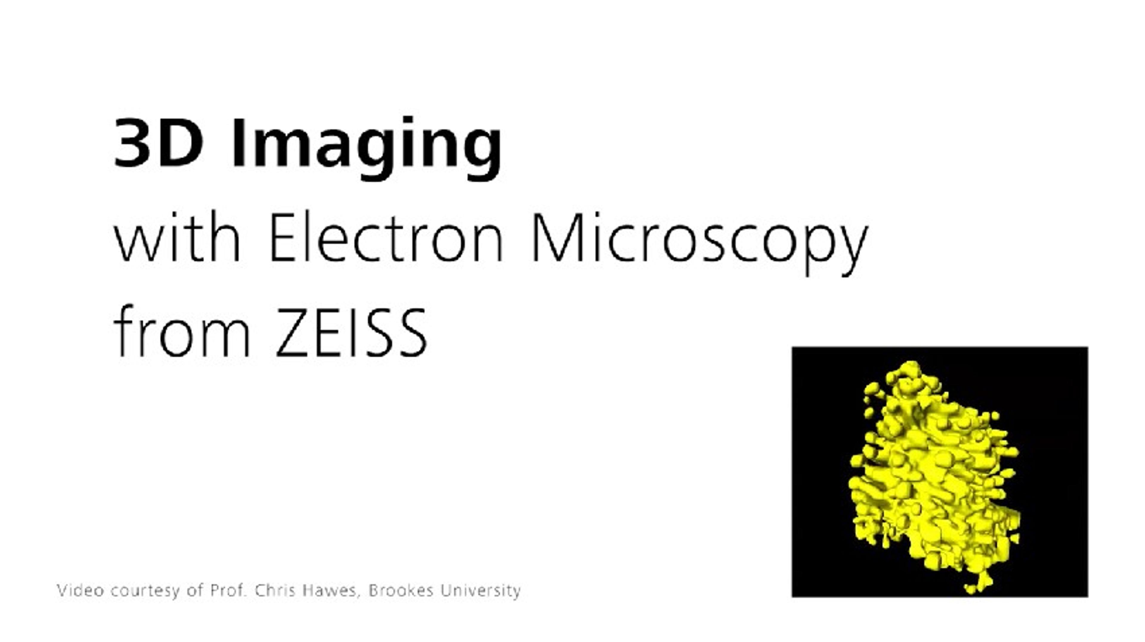 ZEISS 3D Electron Microscopy for Life Sciences ZEISS 3D Electron Microscopy for Life Sciences