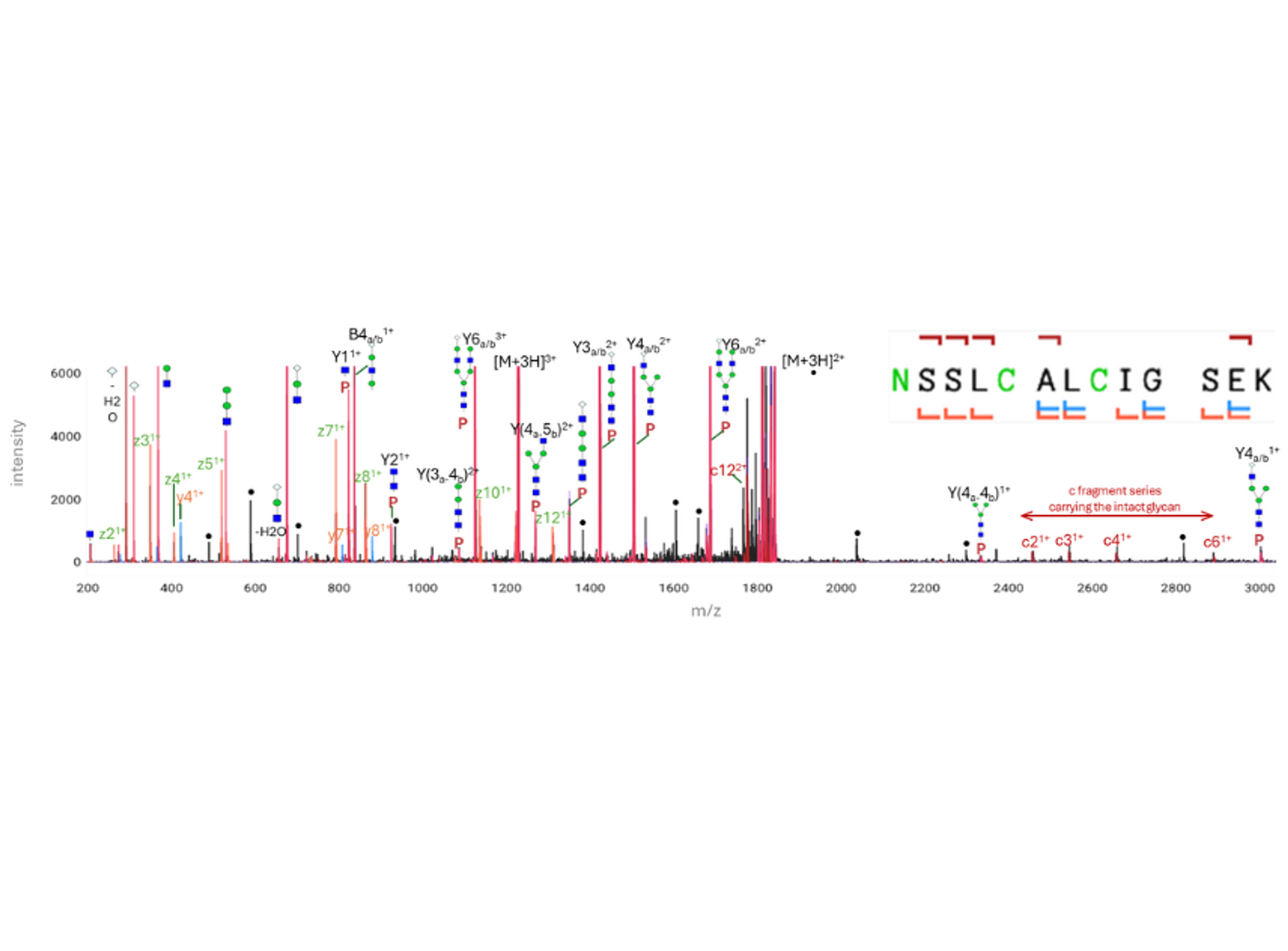 ECciD on the timsOmni™