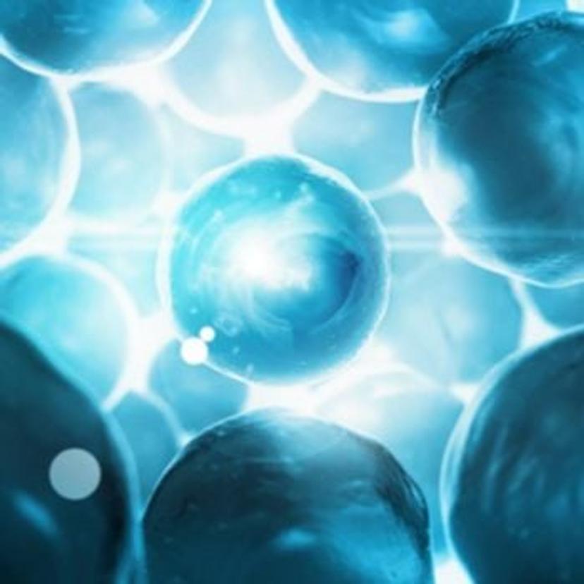 Navigating the Complexities of Cell-Based Assays in GMP QC testing: The journey to robust assays