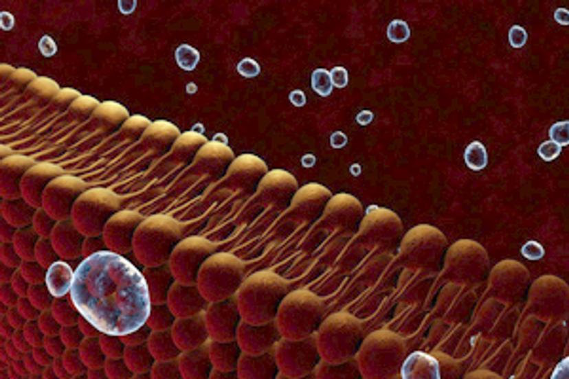 Purification-free affinity and concentration measurement of membrane-protein targets