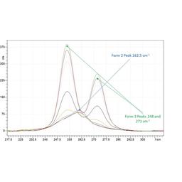 Real time Raman analysis