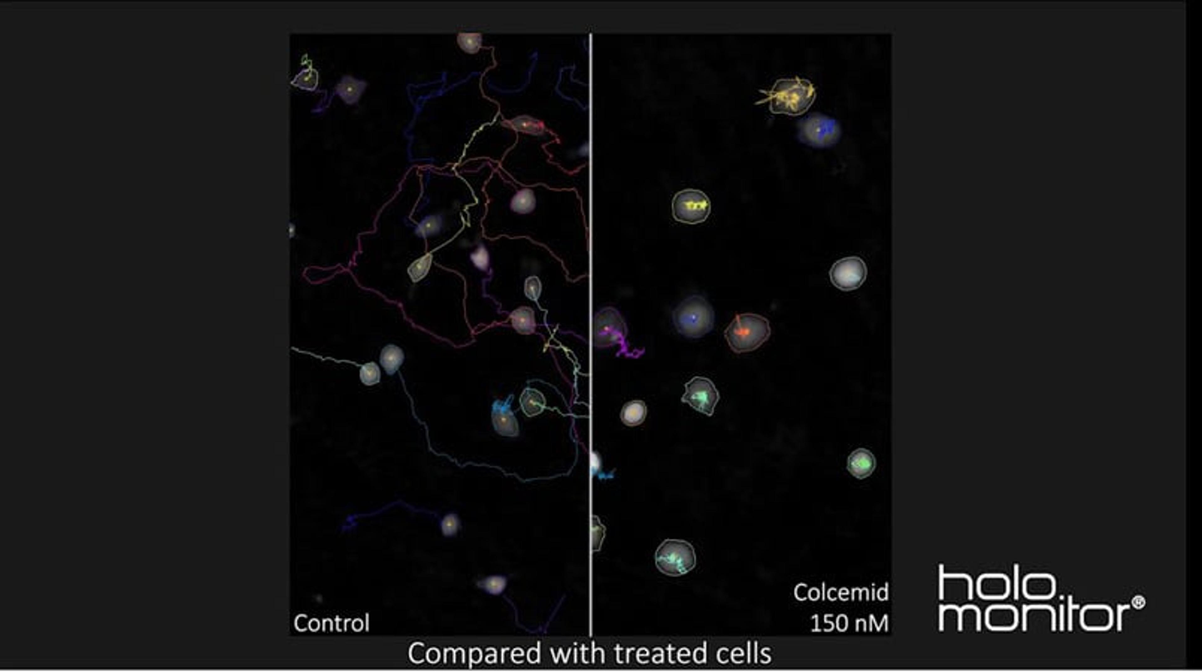 Automatic single cell tracking with HoloMonitor App Suite: Accurate, real-time live cell analysis Automatic single cell tracking with HoloMonitor App Suite: Accurate, real-time live cell analysis