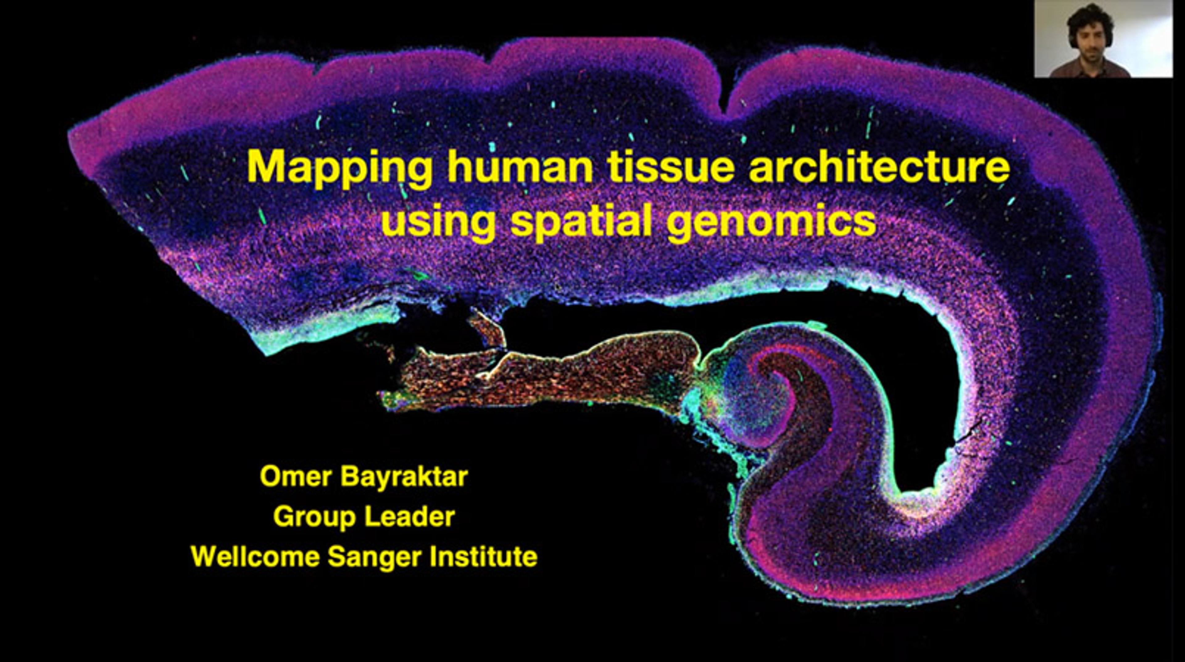 Mapping human tissue architecture using spatial genomics Mapping human tissue architecture using spatial genomics