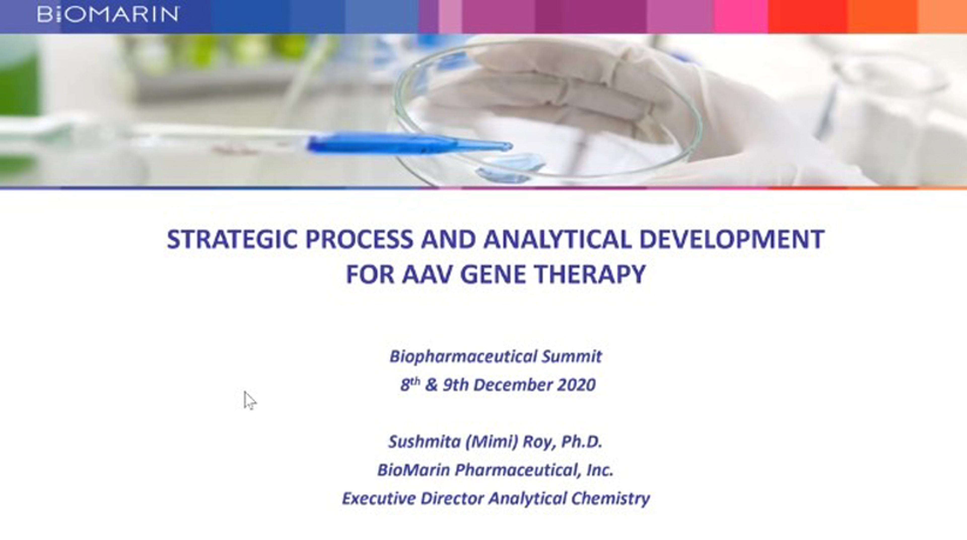 Strategic process and analytical development for AAV gene therapy Strategic process and analytical development for AAV gene therapy