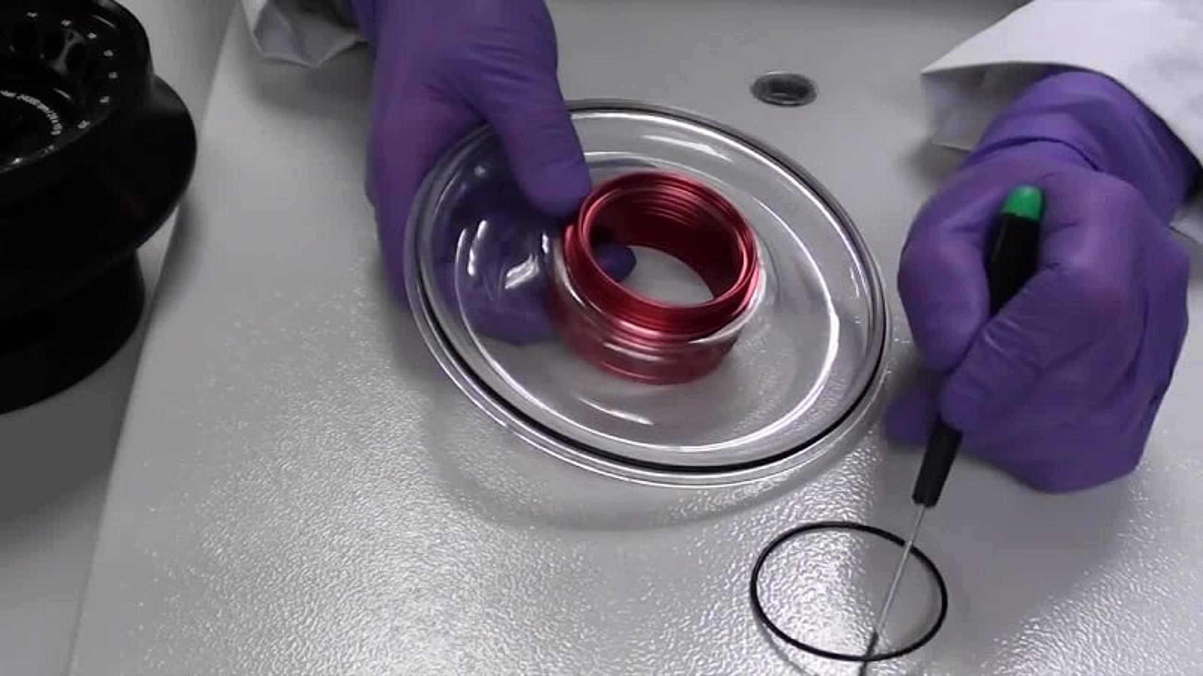 NuWind Maintenance Series: How to Change a Centrifuge Rotor Gasket NuWind Maintenance Series: How to Change a Centrifuge Rotor Gasket