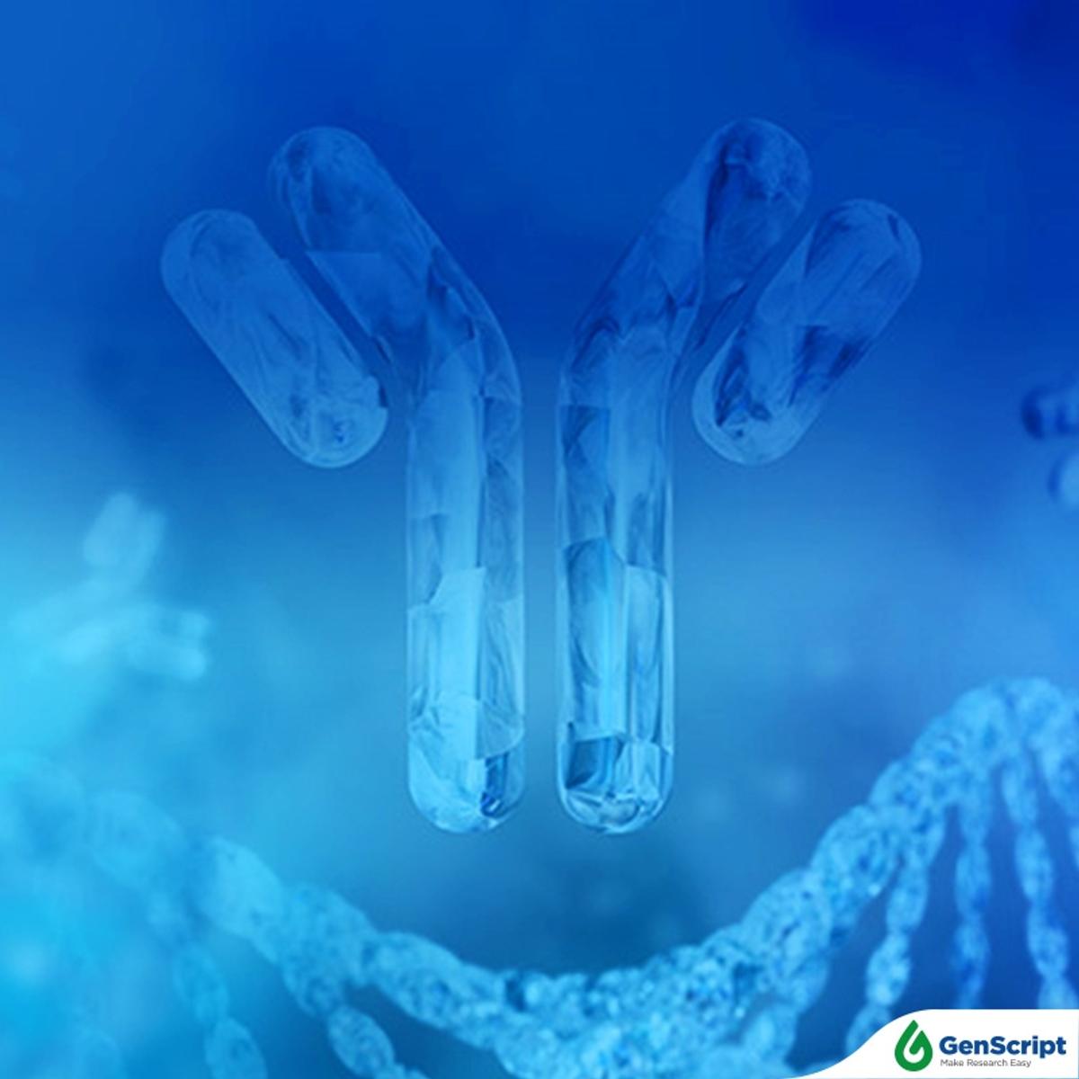 Buy TurboCHO™ High Throughput Platform Read Reviews