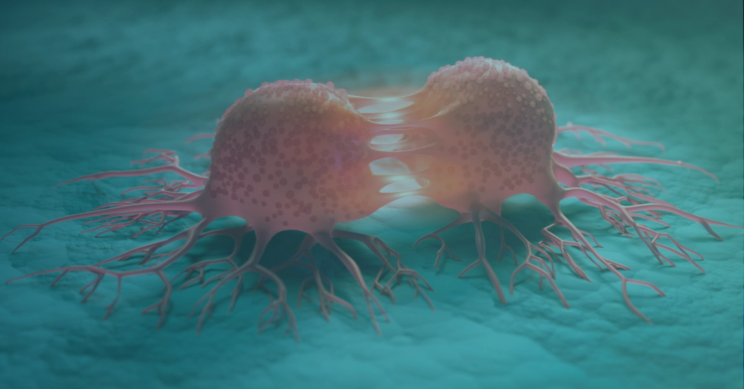 Cancer Research and Therapeutics Feature