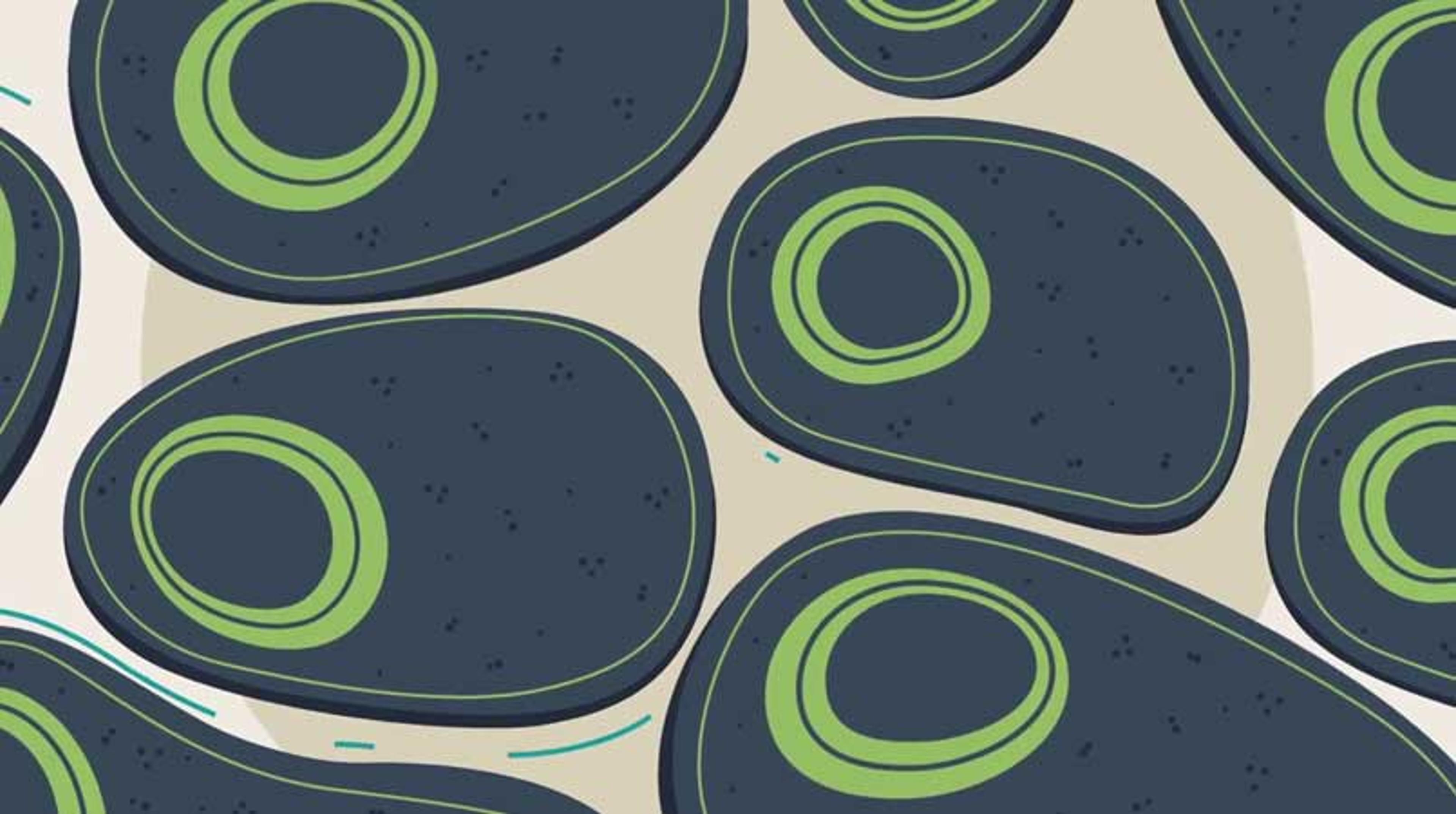 Cell Signaling and Pathway Analysis Solutions Cell Signaling and Pathway Analysis Solutions