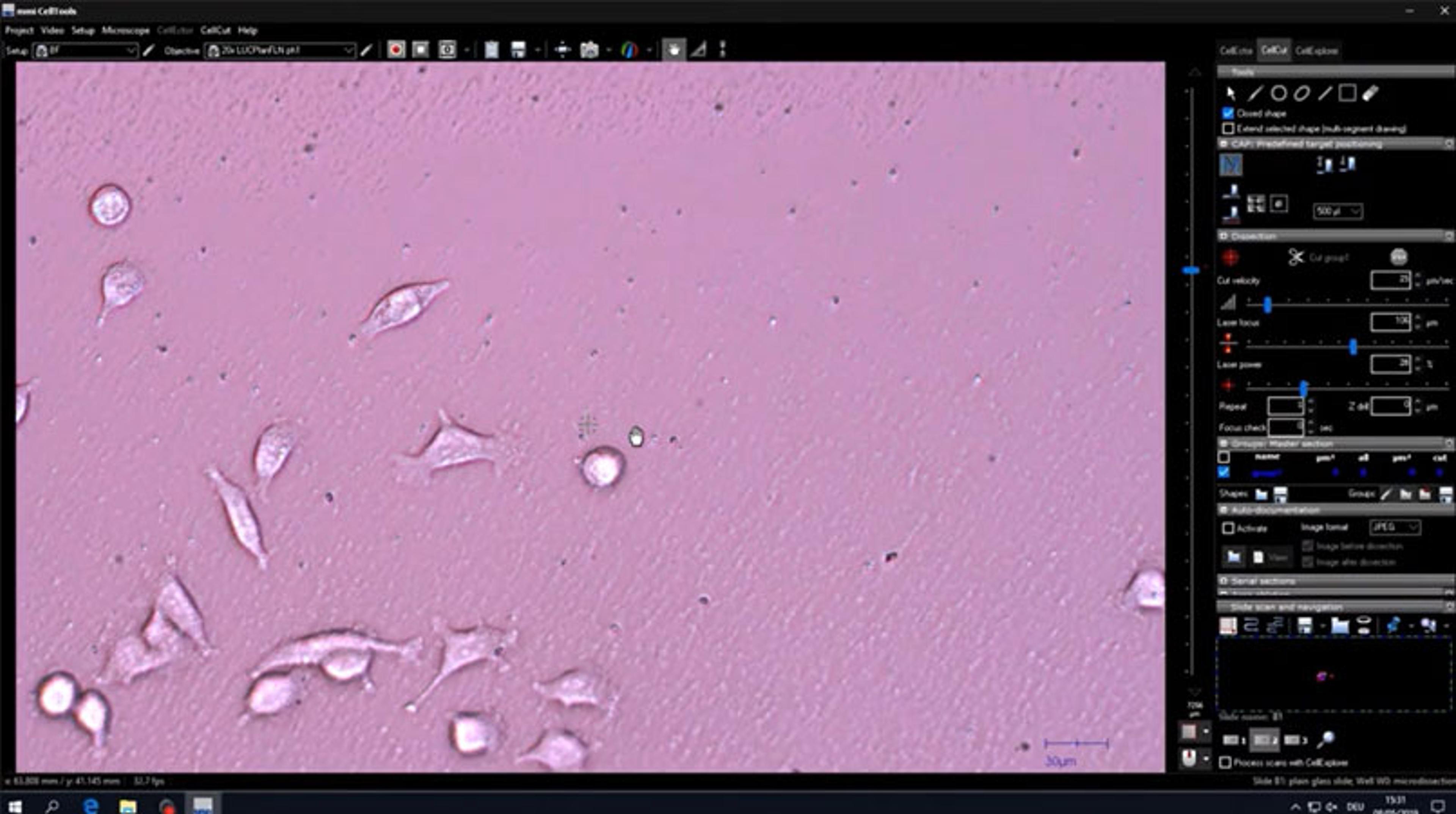 Isolating and re-growing living cells with laser microdissection Isolating and re-growing living cells with laser microdissection
