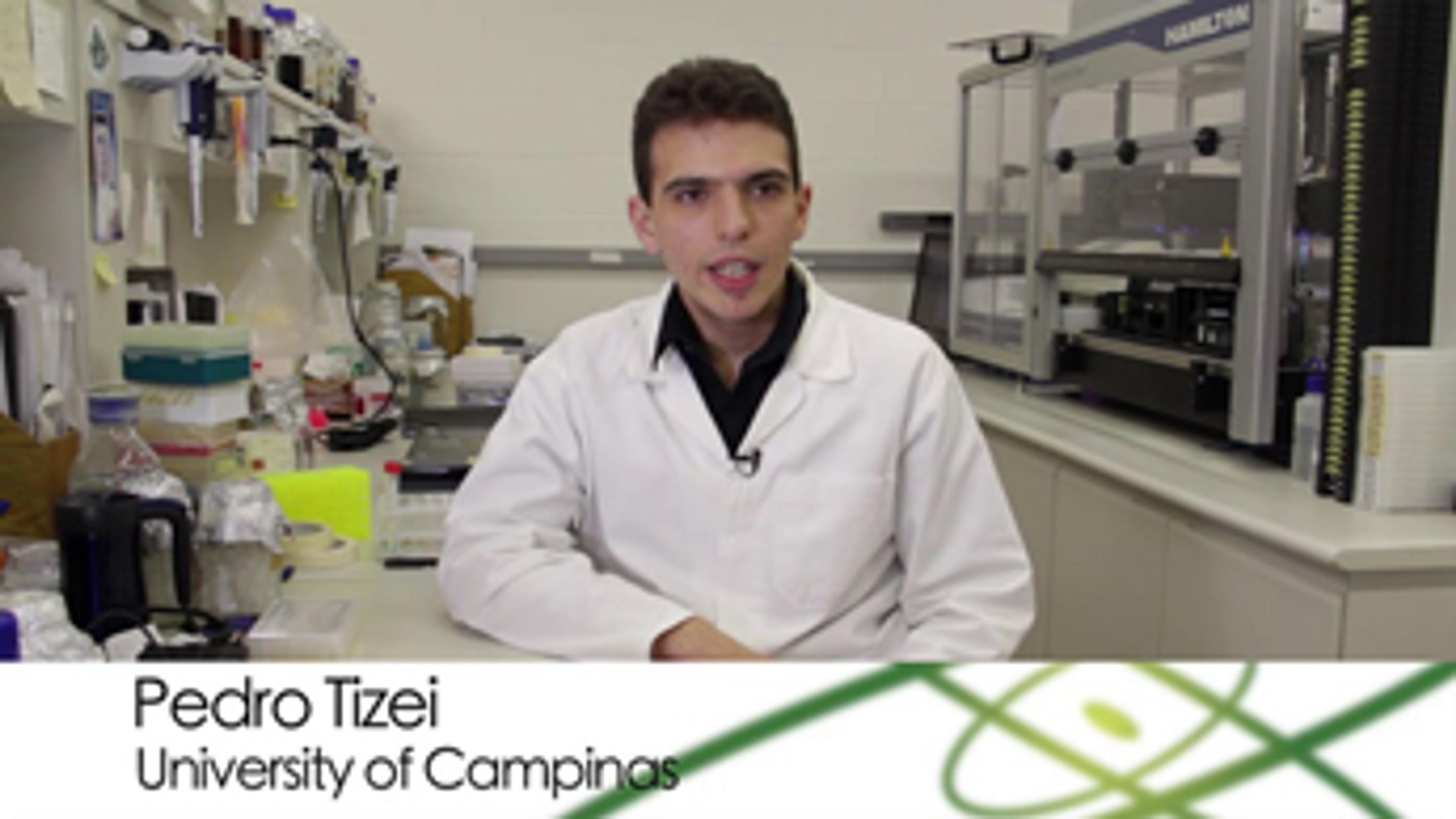 New Yeast Strains for Second-Generation Ethanol: Pedro Tizei, University of Campinas New Yeast Strains for Second-Generation Ethanol: Pedro Tizei, University of Campinas