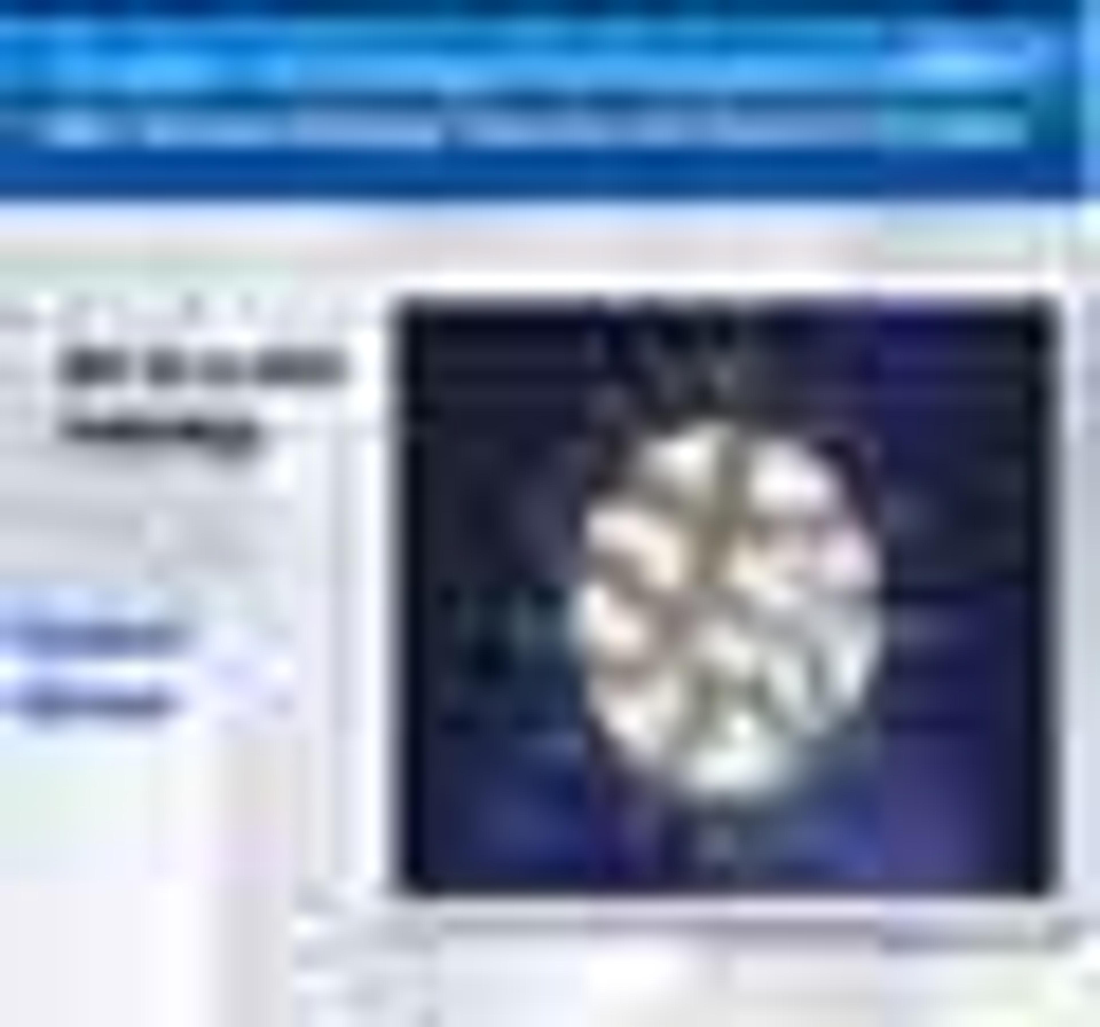 High Capacity Protein Purification High Capacity Protein Purification