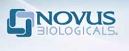 Novus Biologicals, LLC