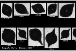 Microcapsules imaged on FlowCam Macro