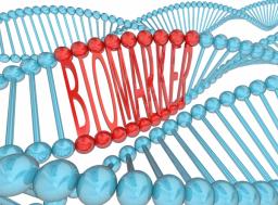 Biomarker