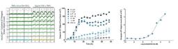 Automatically analyze the time course of apoptosis