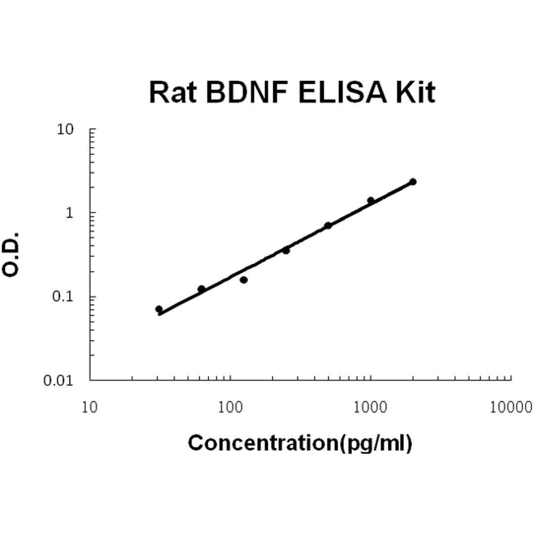 Rat BDNF PicoKine ELISA Kit standard curve