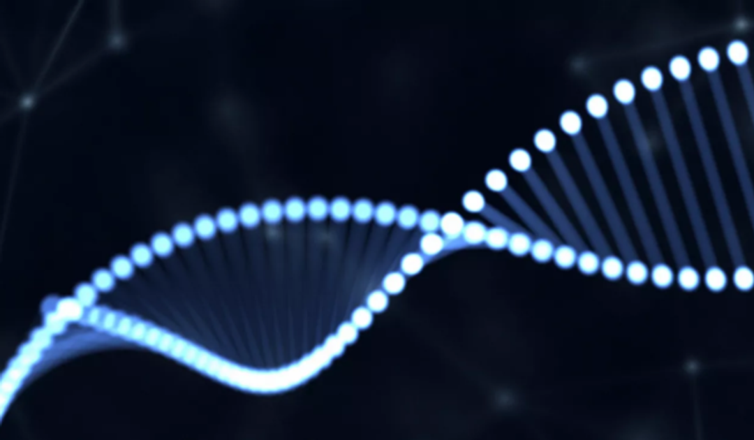On cfDNA in hematologic cancers: A Q&A with Dr. Mark Murakami