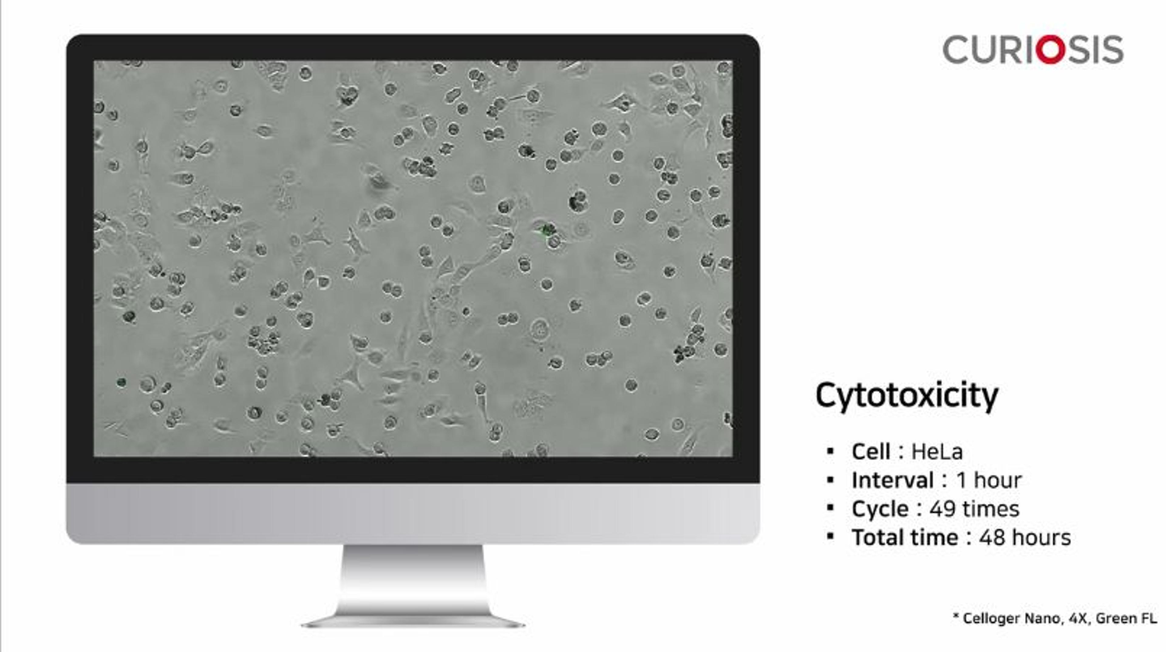 Celloger Nano application: Cytotoxicty Celloger Nano application: Cytotoxicty