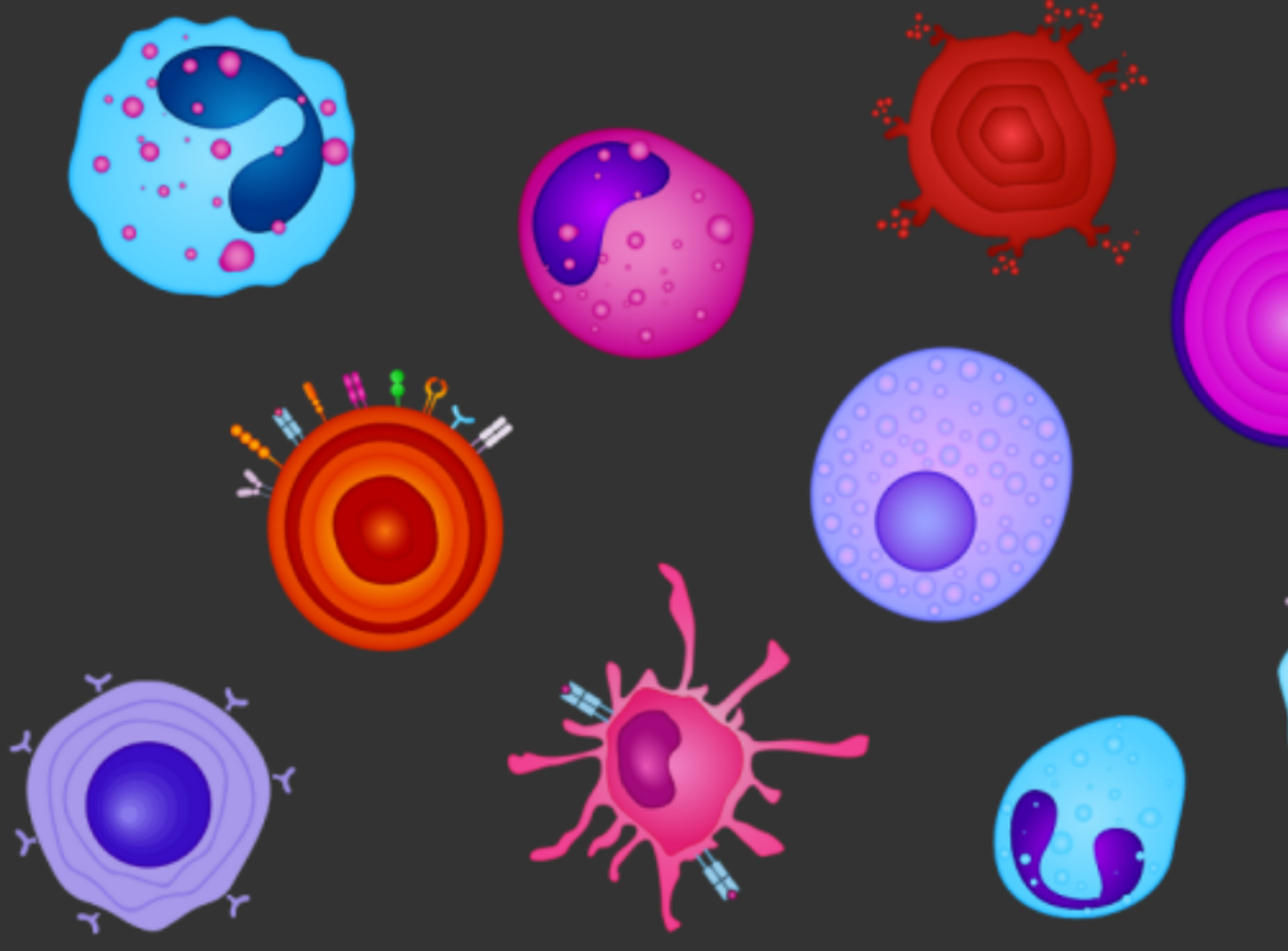 Definitive phenotypes in flow cytometry