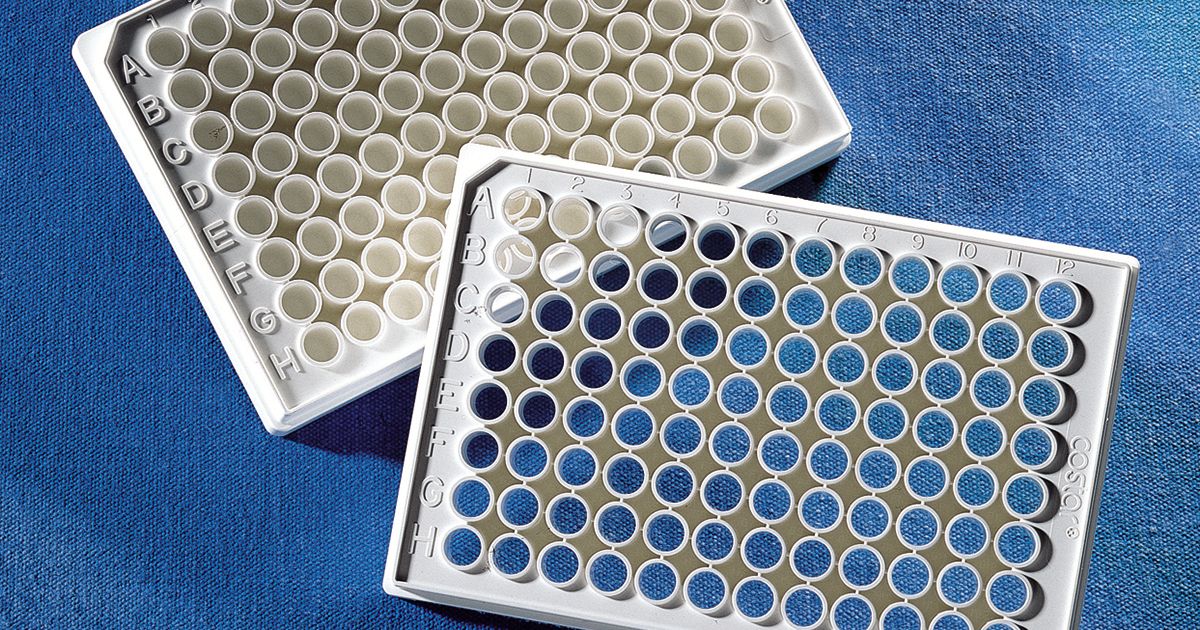Buy Corning® 96-well White/Clear Flat Bottom Polystyrene NBS Microplate ...