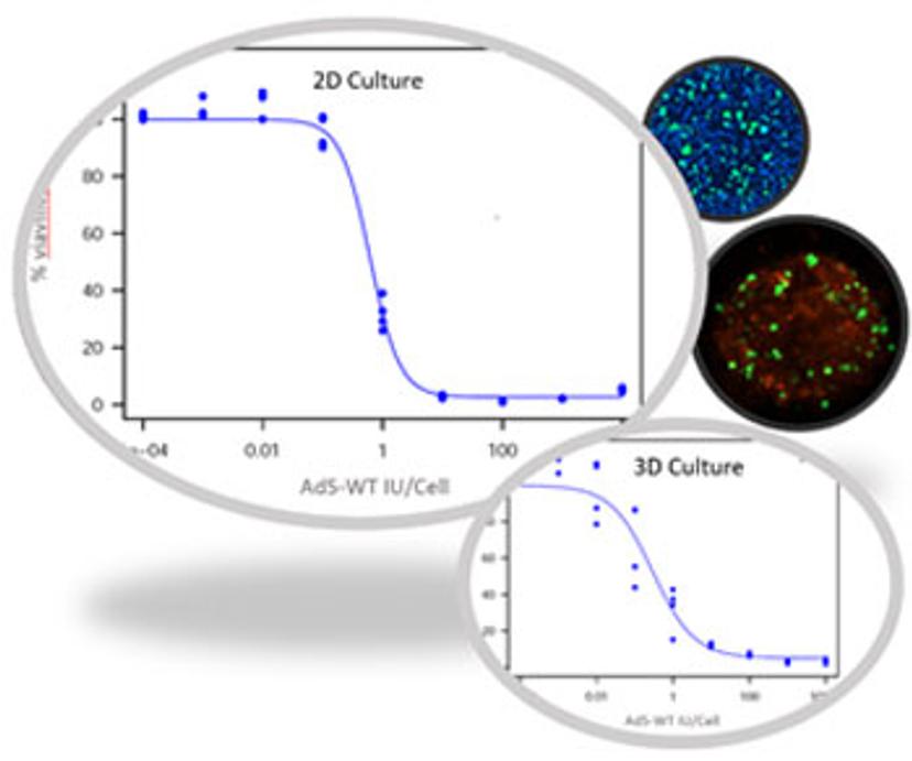 2D vs 3D oncology screens