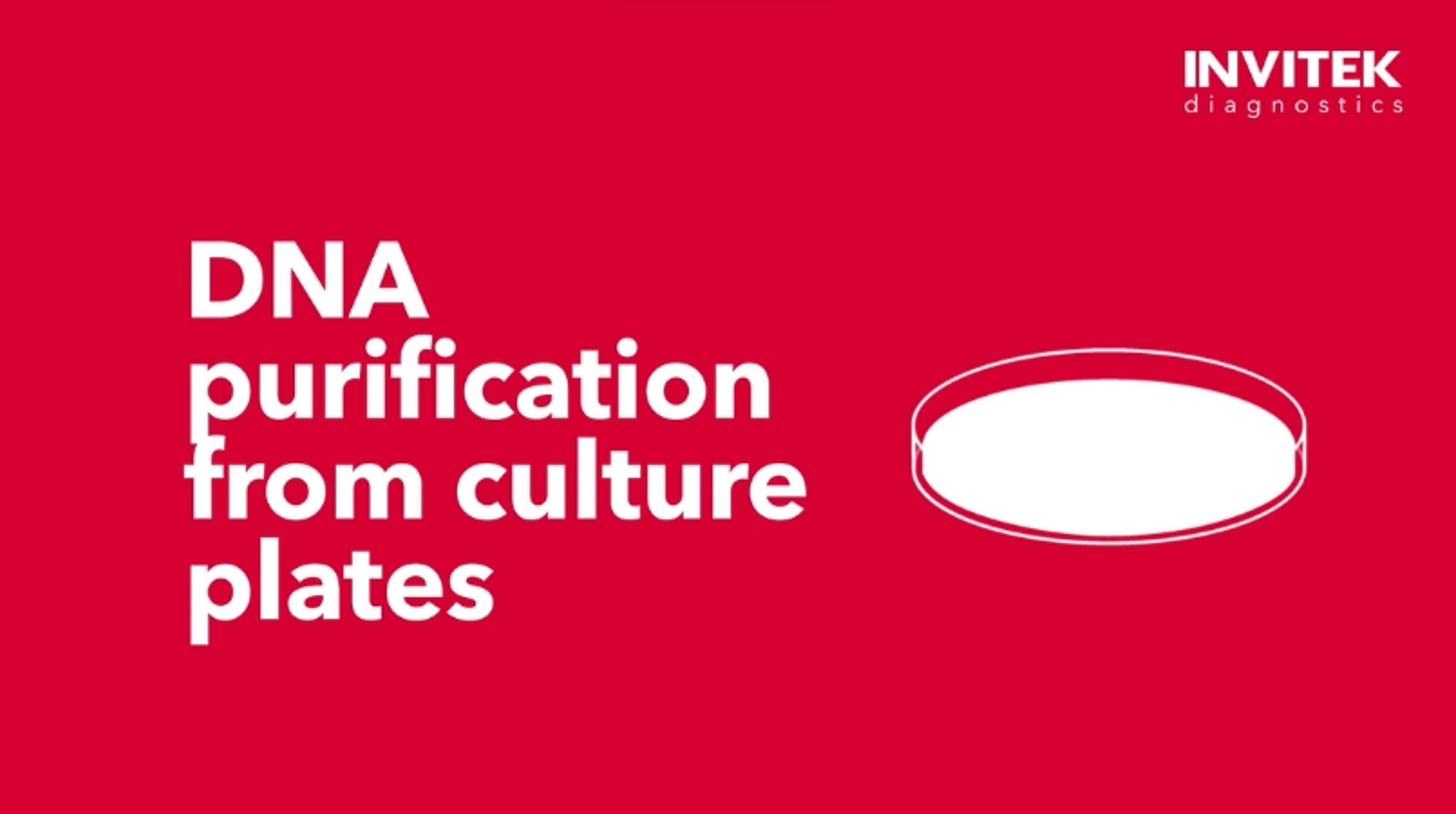 DNA purification from culture plates: InviPrep Fast Lysis Buffer kit DNA purification from culture plates: InviPrep Fast Lysis Buffer kit
