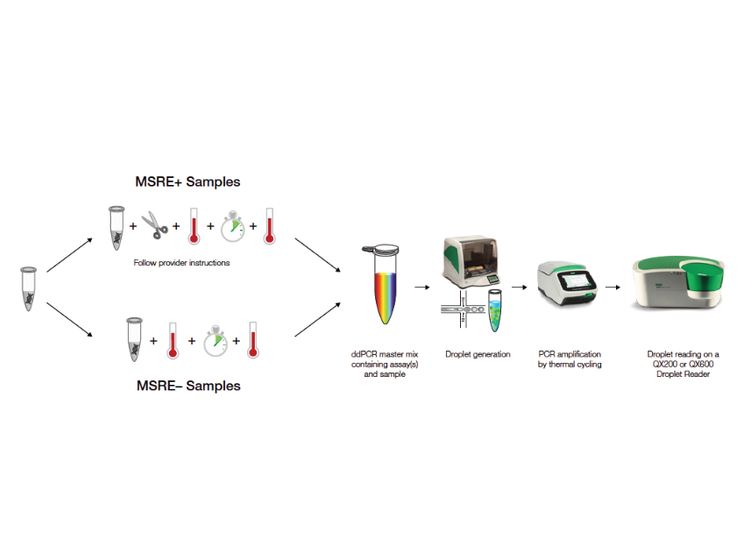 Buy QX600 Droplet Digital PCR System Read Reviews