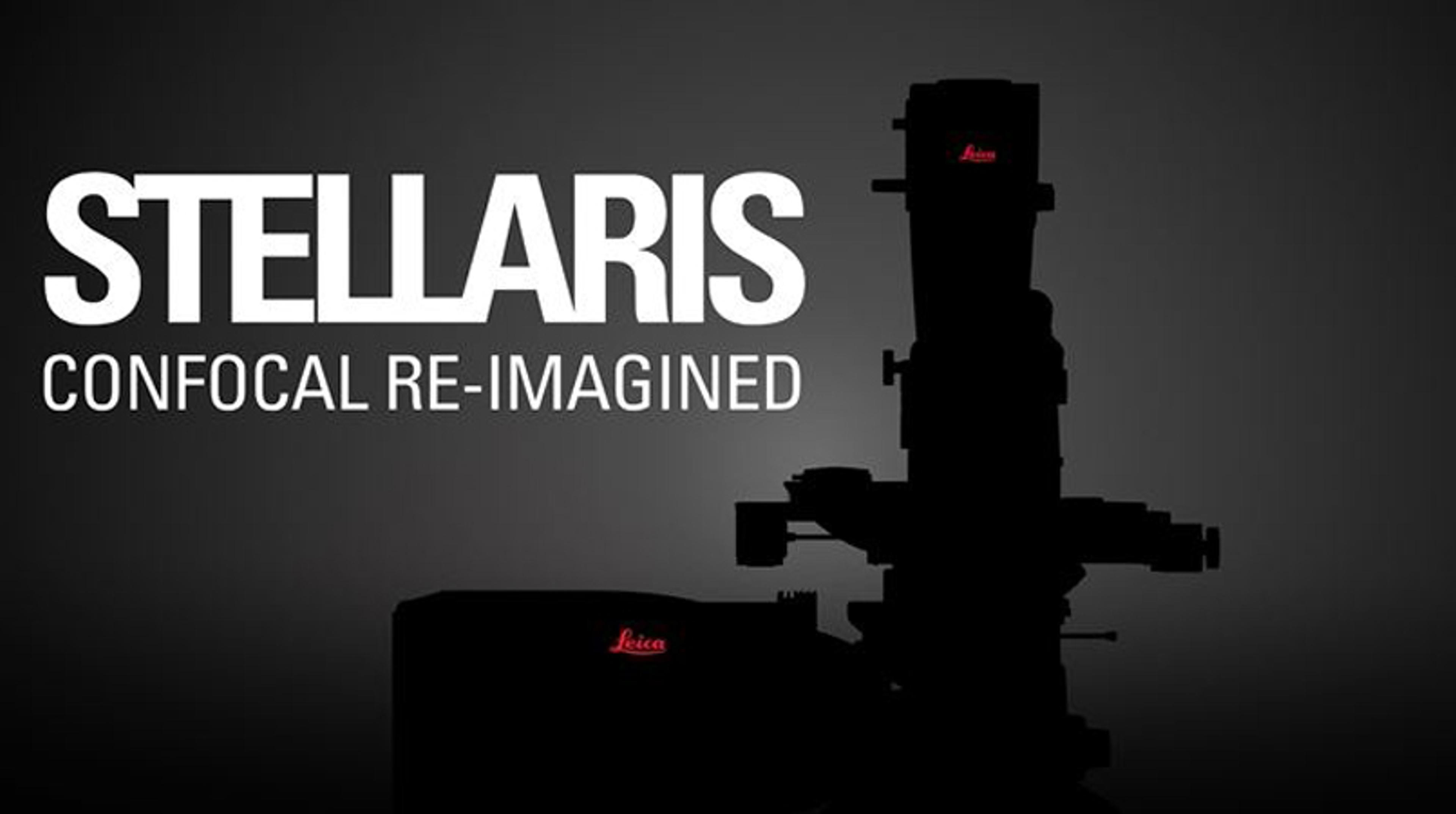 Introducing the Confocal Microscope Platform STELLARIS Introducing the Confocal Microscope Platform STELLARIS