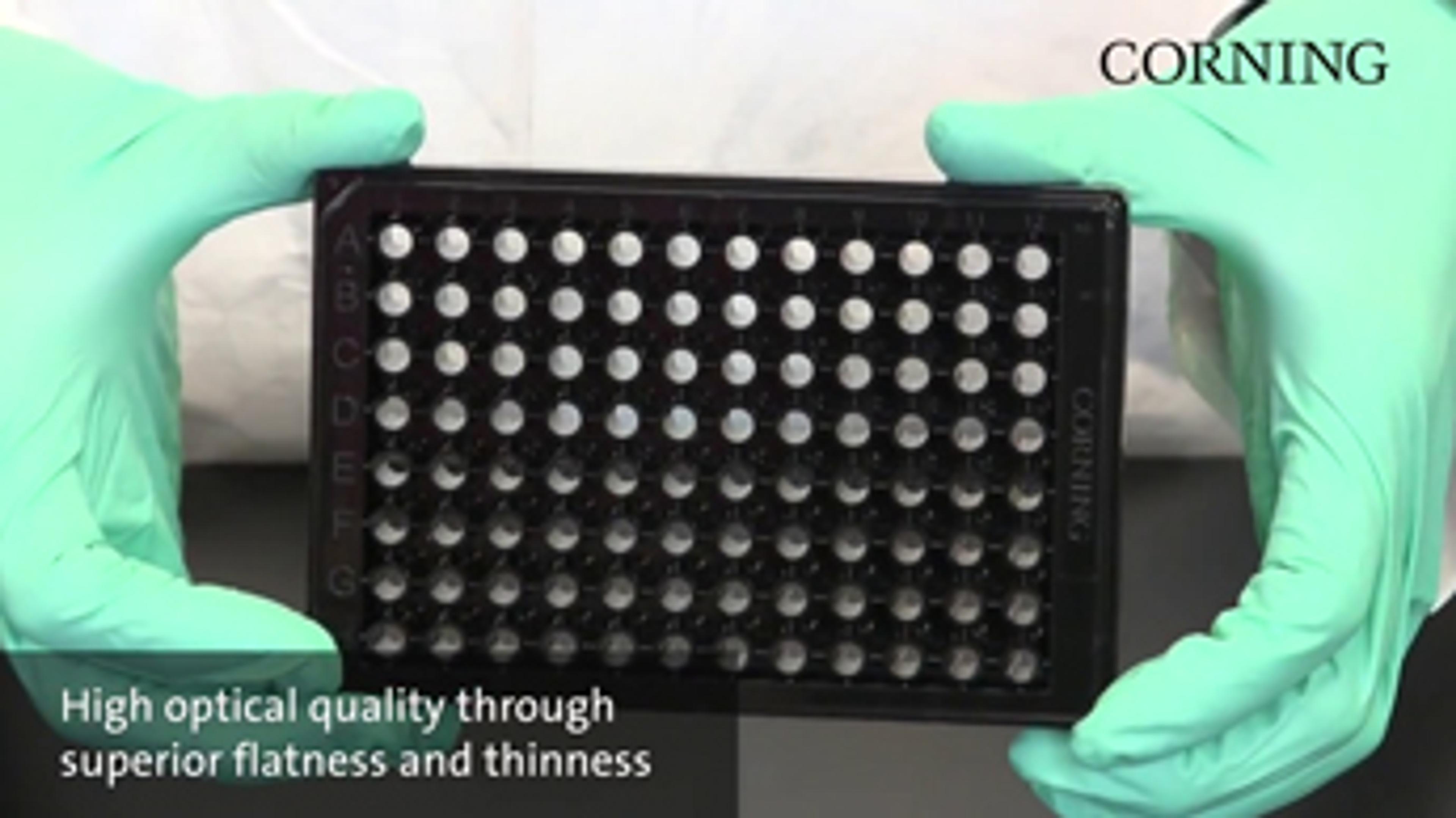 High Content Screening Microplates from Corning Life Sciences