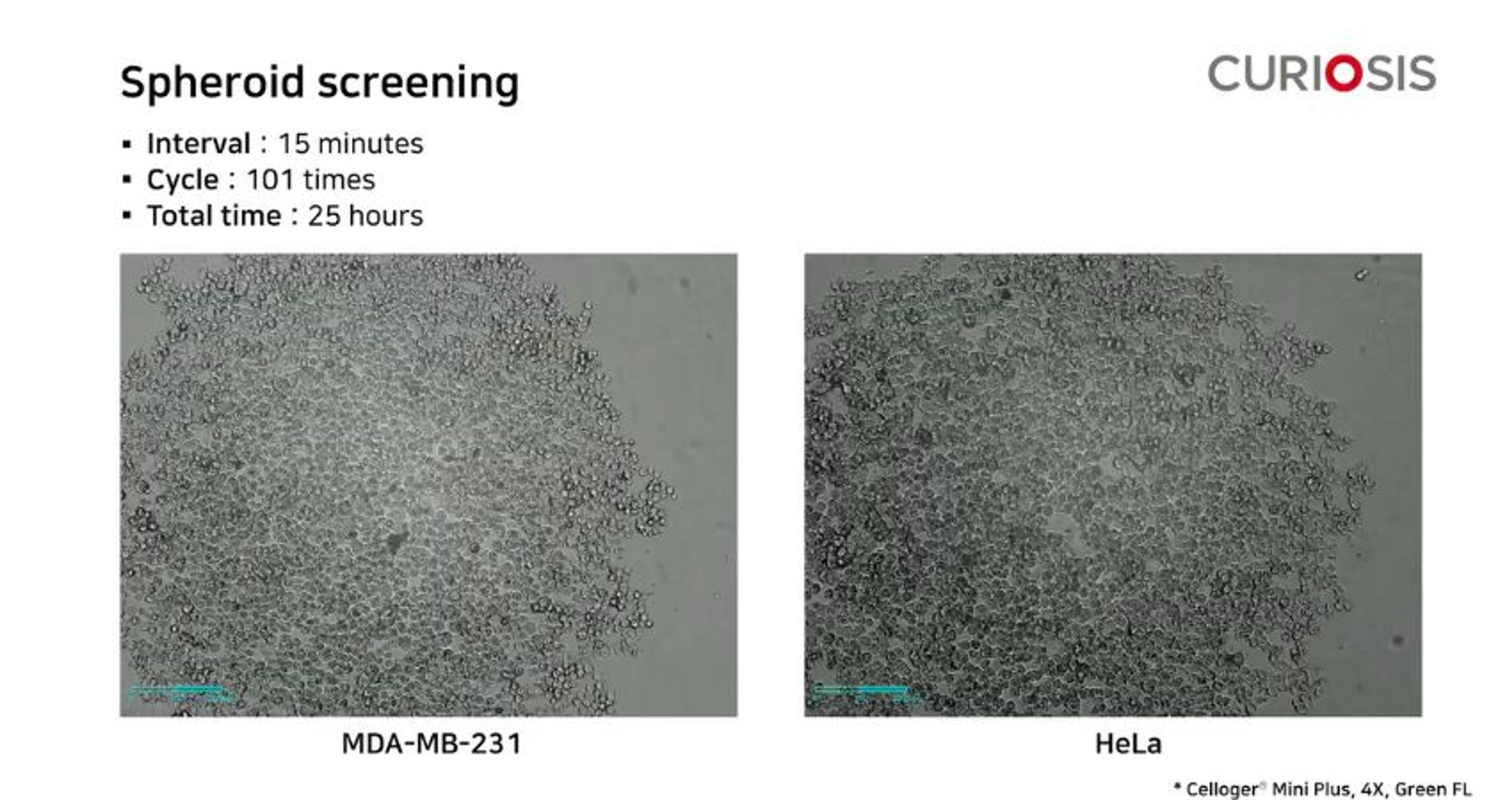 Celloger Mini Plus application: Spheroid screening Celloger Mini Plus application: Spheroid screening