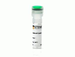 Mouse Recombinant GM-CSF