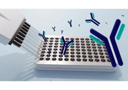 Antibody In Vitro Functional Characterization Services