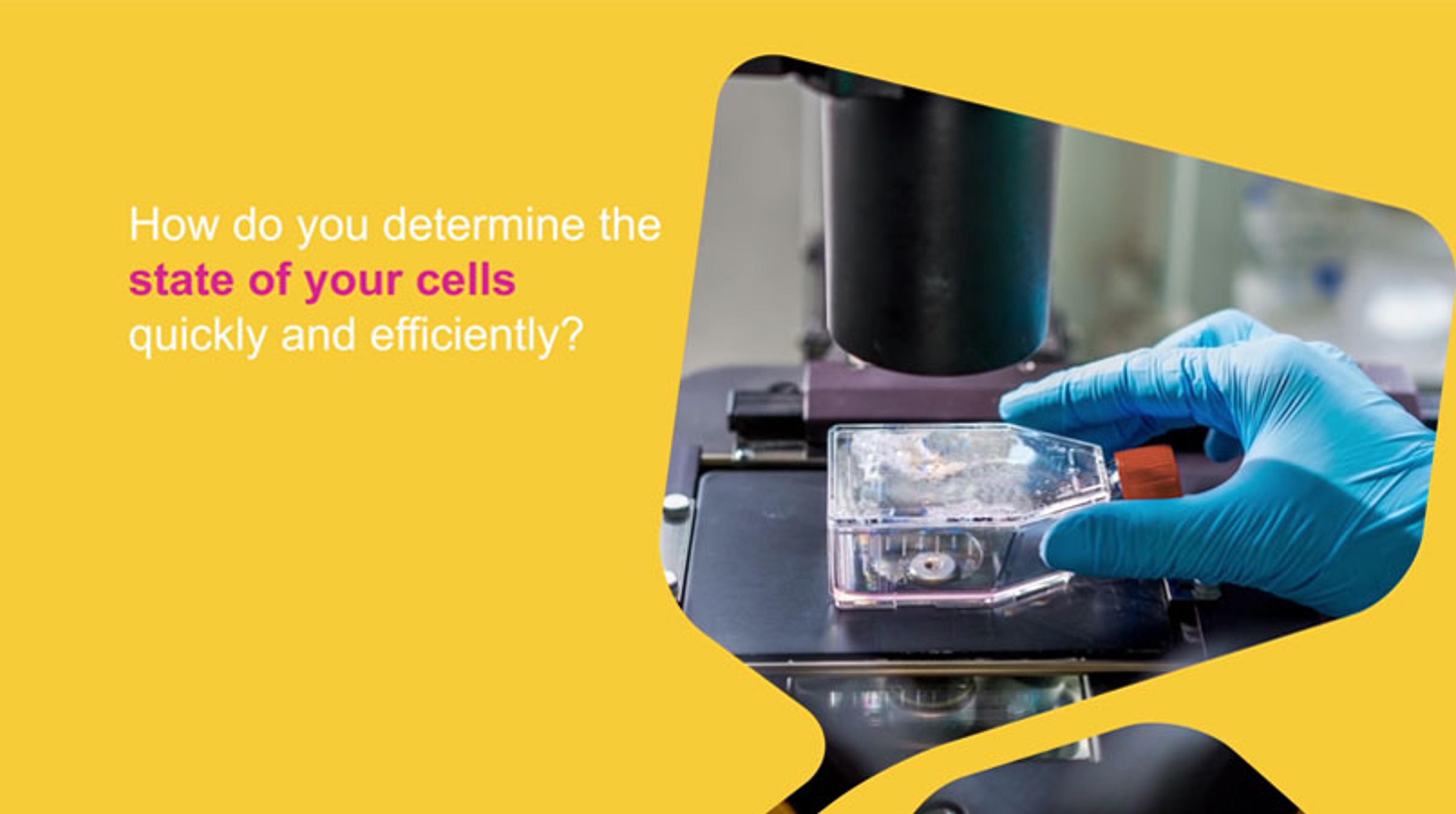Cell Analysis with the Scepter 2.0 Handheld Automated Cell Counter Cell Analysis with the Scepter 2.0 Handheld Automated Cell Counter