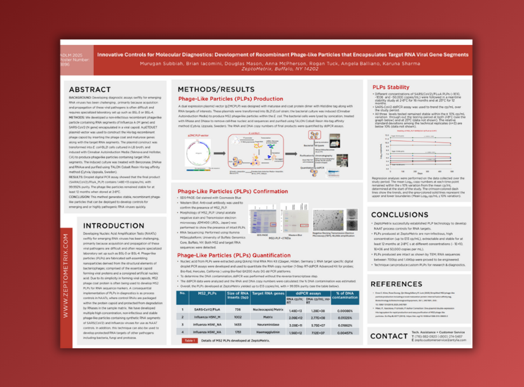 Recombinant phage-like particles as novel controls for molecular diagnostics