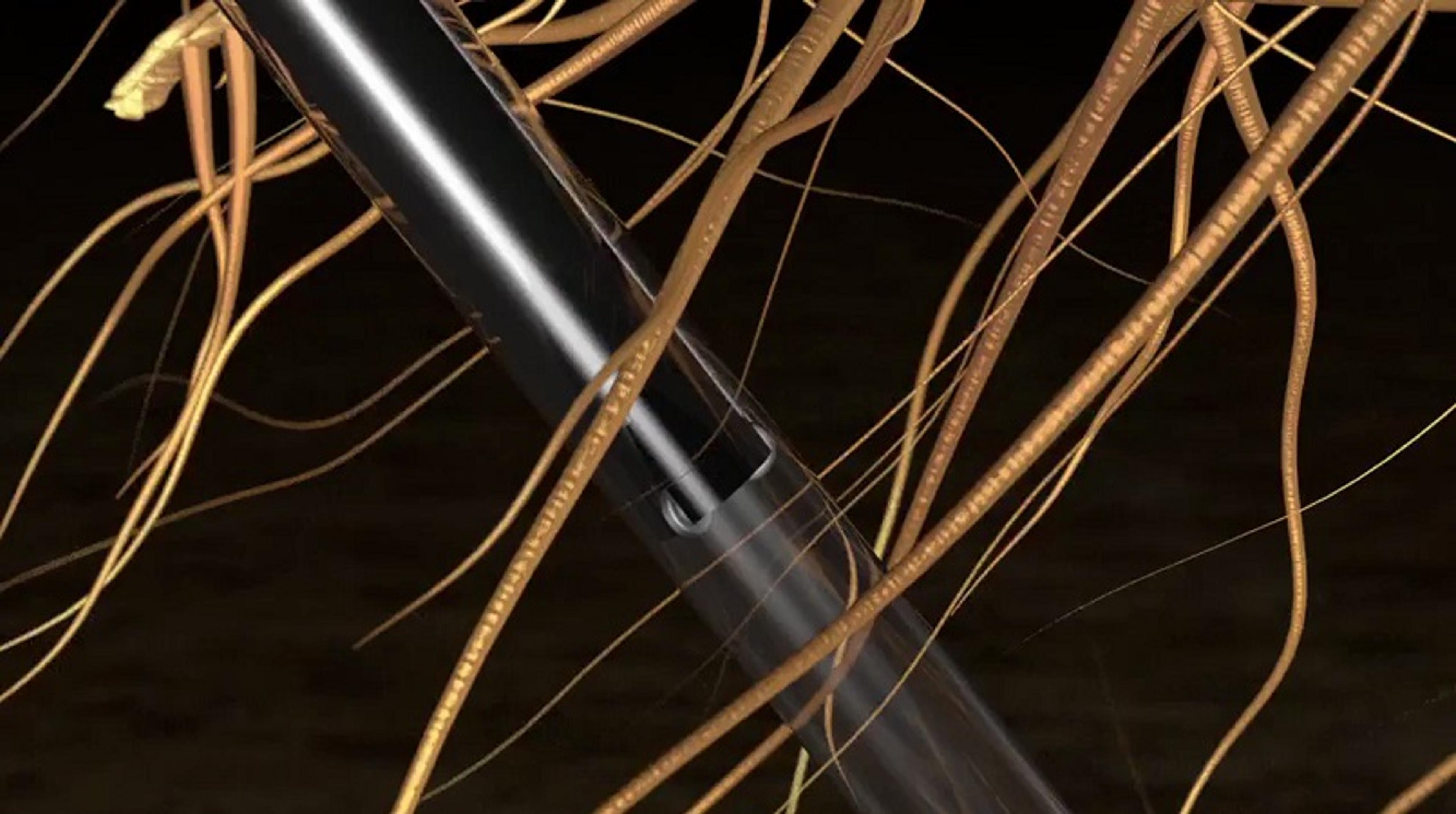 CI-600 In Situ Root Imager Overview CI-600 In Situ Root Imager Overview