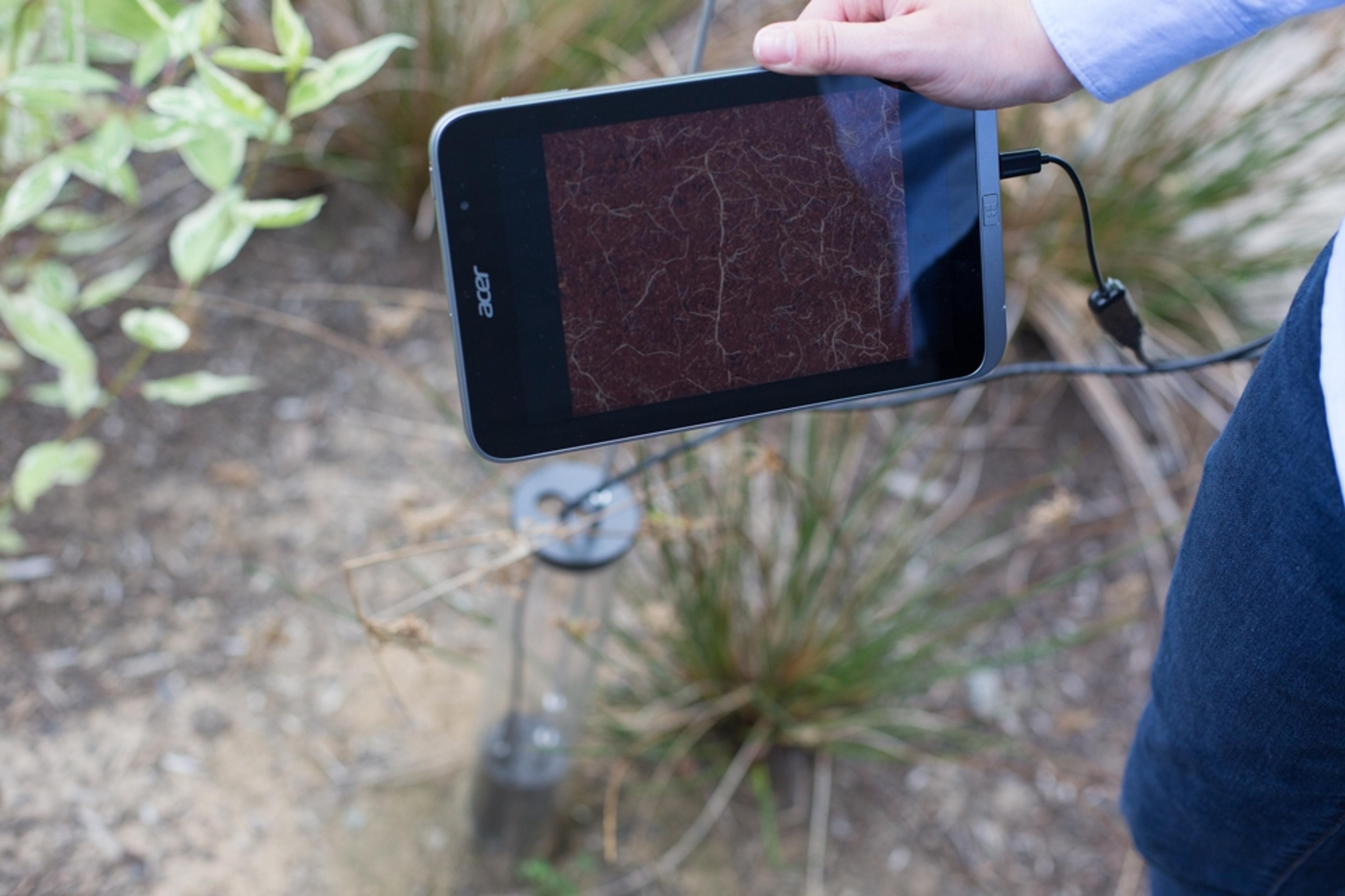 In the field with root image pictured on tablet.