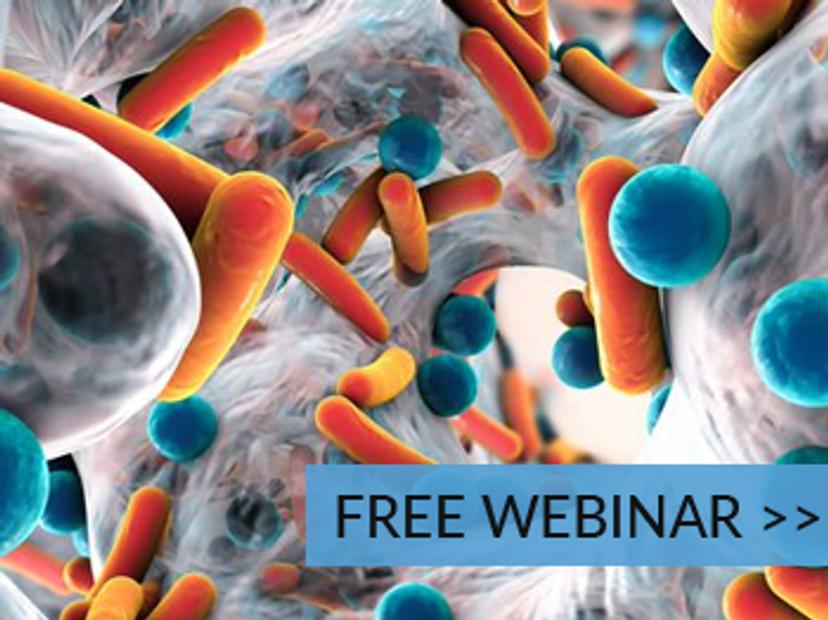 ThermoFisher Scientific Webinar