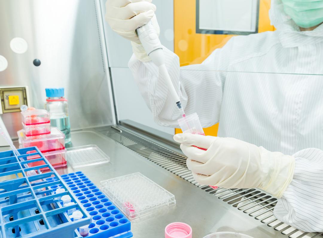 Stable Cell Line Services