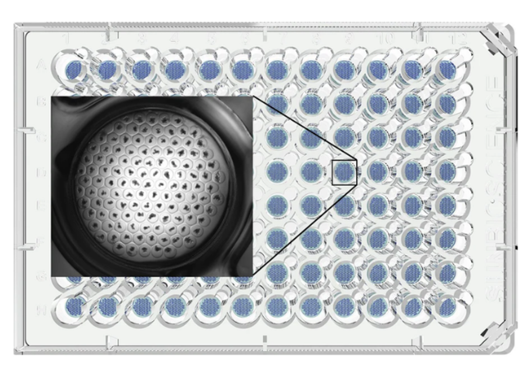 Gri3D® Hydrogel Microcavity Plates