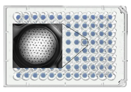 Gri3D® Hydrogel Microcavity Plates