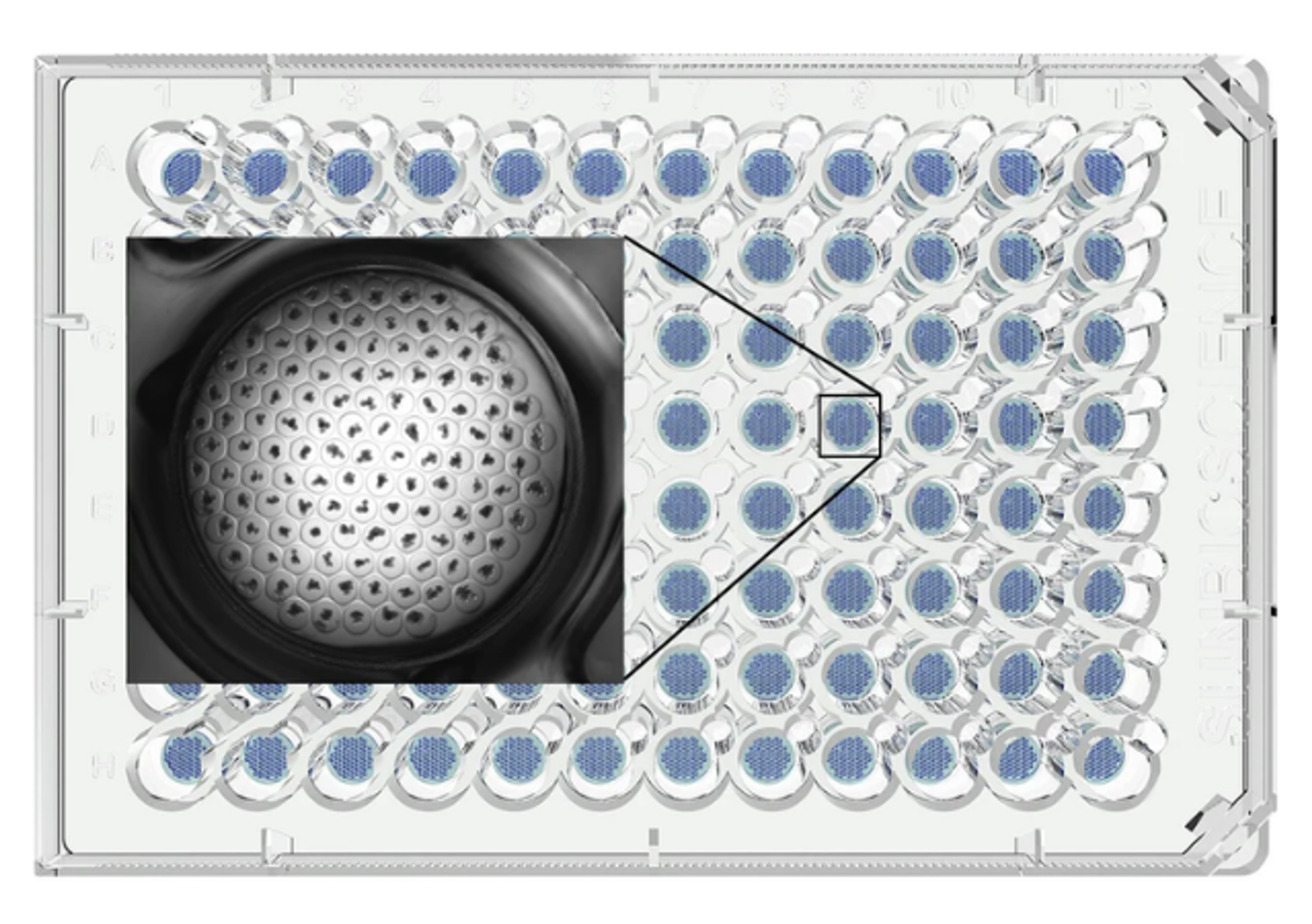 Gri3D® Hydrogel Microcavity Plates