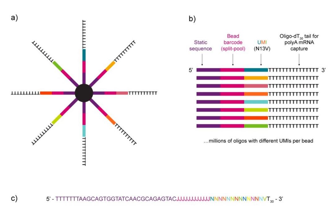 Figure 1. Design and key components of the NxSeq Single-cell