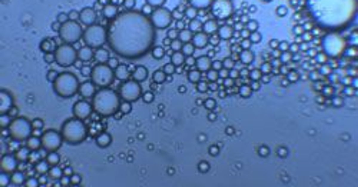 Scientists at CENIMAT and New University of Lisbon are Investigating