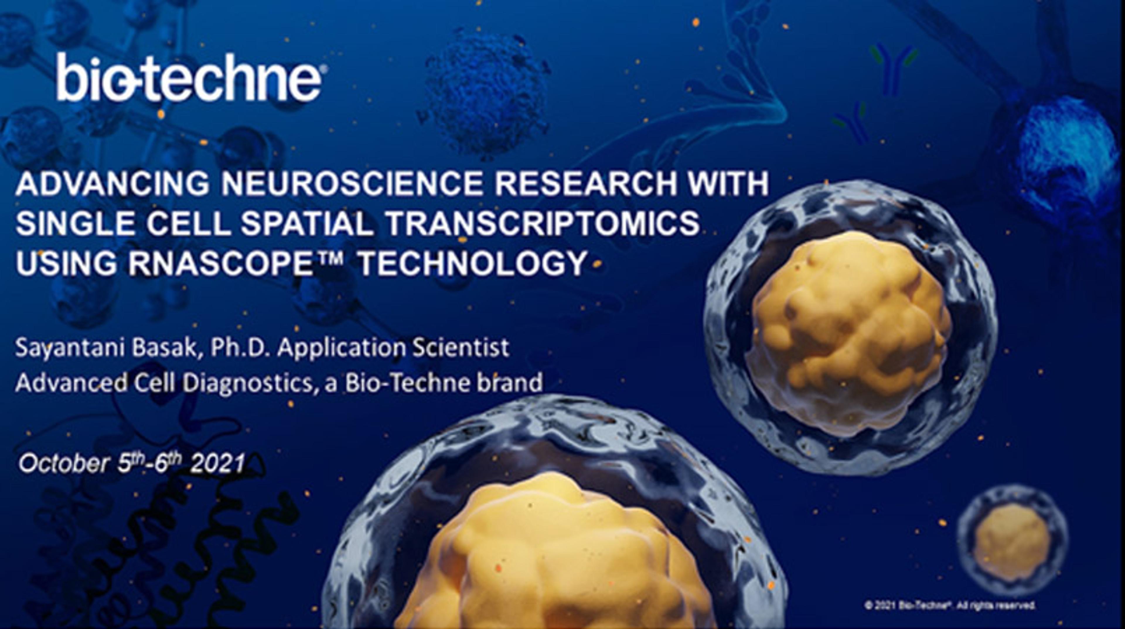 Advancing neuroscience research with single cell spatial transcriptomics using RNAscope technology Advancing neuroscience research with single cell spatial transcriptomics using RNAscope technology