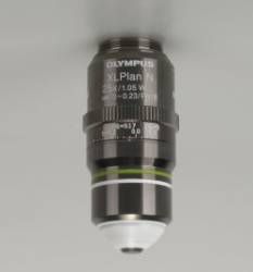 Olympus 25x NA 1.05 Water Immersion Objective Offers Unprecedented