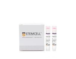 RosetteSep™ Human Progenitor Cell Basic Pre-Enrichment Kit - STEMCELL Technologies Inc. - Life Sciences